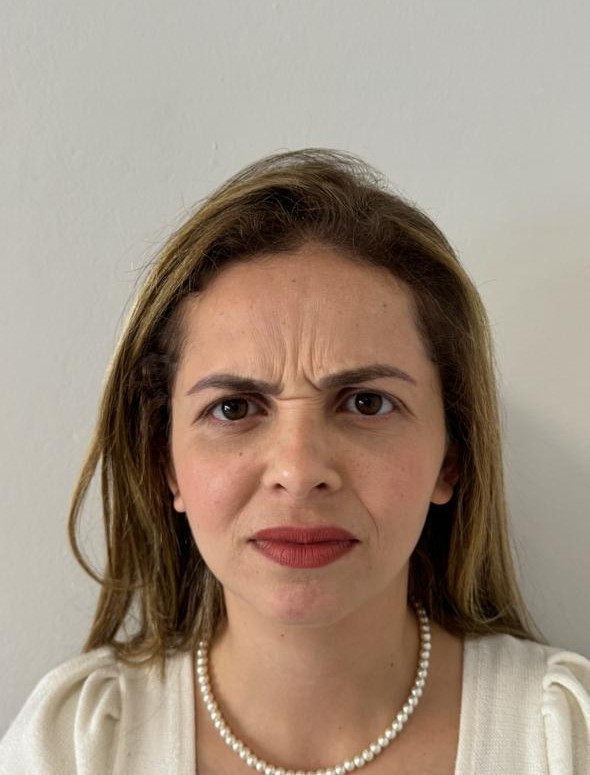 Antes da harmonização